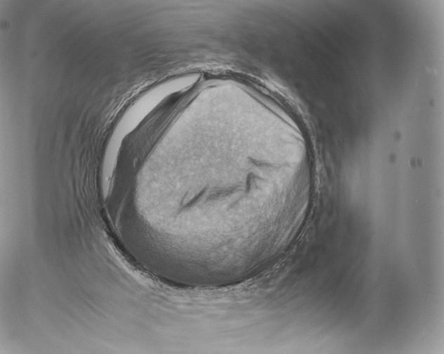 X0000053050009200508081140