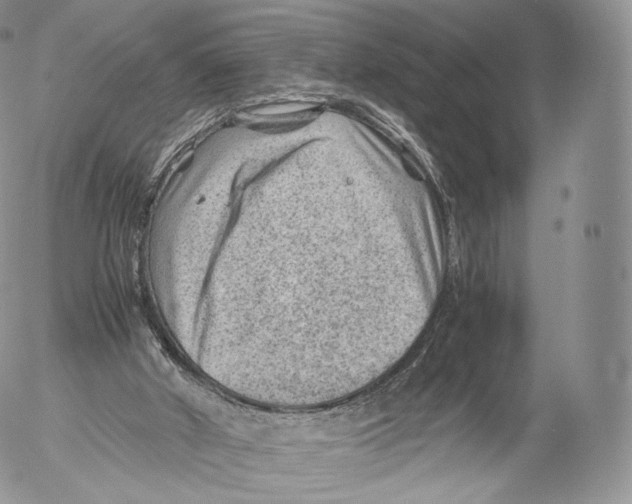 X0000053050010200508081140