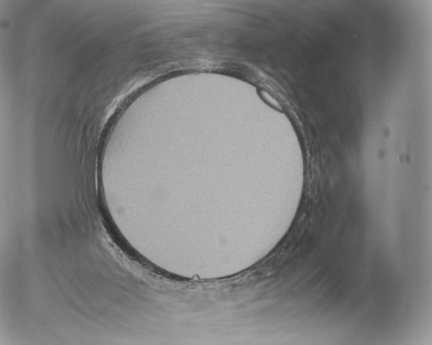 X0000053050011200508081140