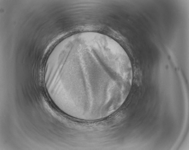 X0000053050012200508081140