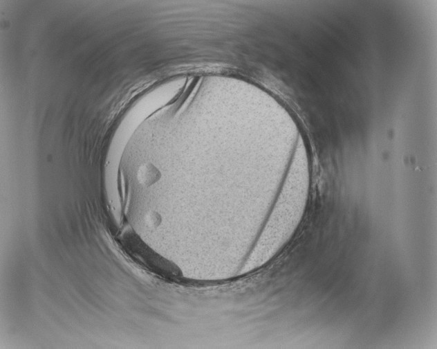 X0000053050013200508081140