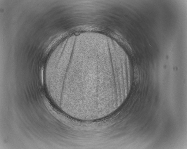 X0000053050014200508081140