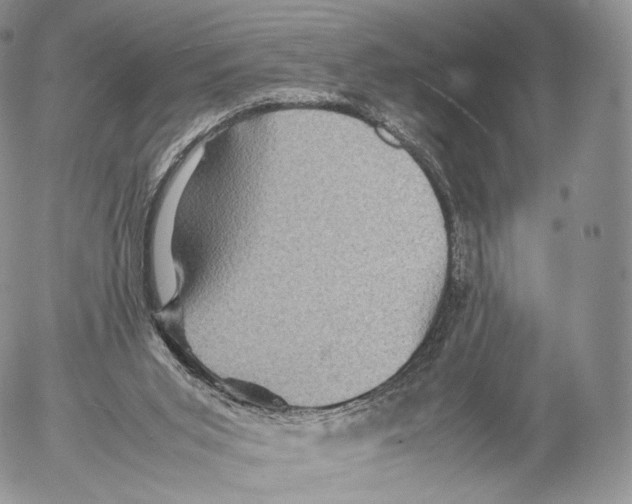 X0000053050015200508081140