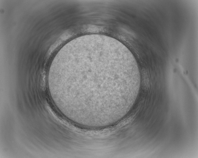 X0000053050016200508081140