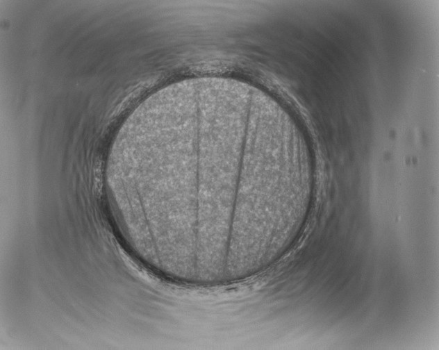 X0000053050017200508081140