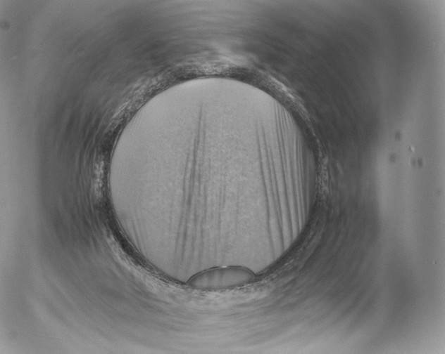 X0000053050018200508081140