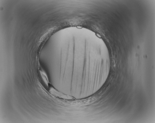 X0000053050019200508081140