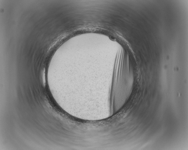 X0000053050020200508081140