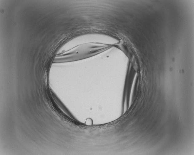 X0000053050021200508081140