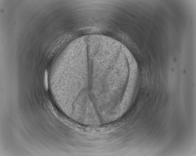 X0000053050022200508081140