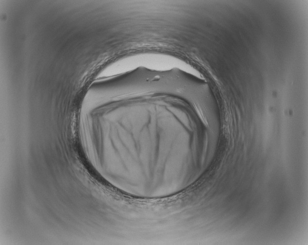 X0000053050023200508081140