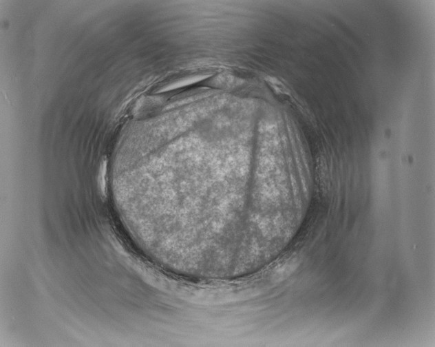 X0000053050024200508081140