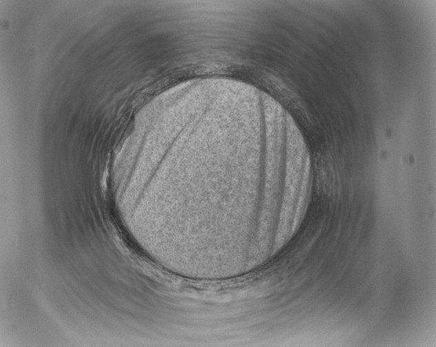 X0000053050026200508081140