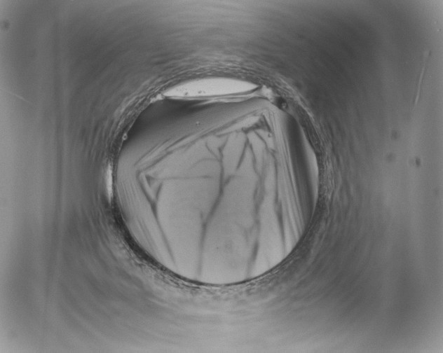 X0000053050027200508081140