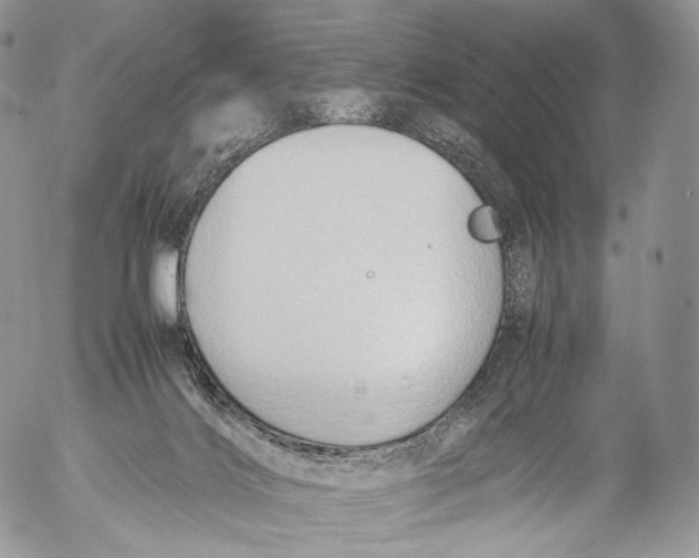 X0000053050028200508081140