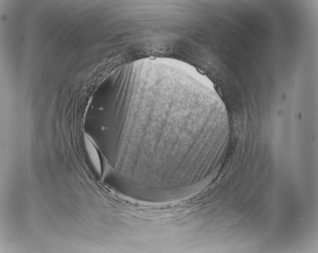 X0000053050029200508081140