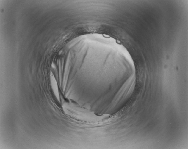 X0000053050031200508081140