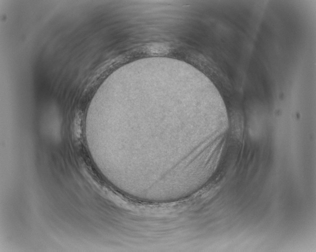 X0000053050032200508081140