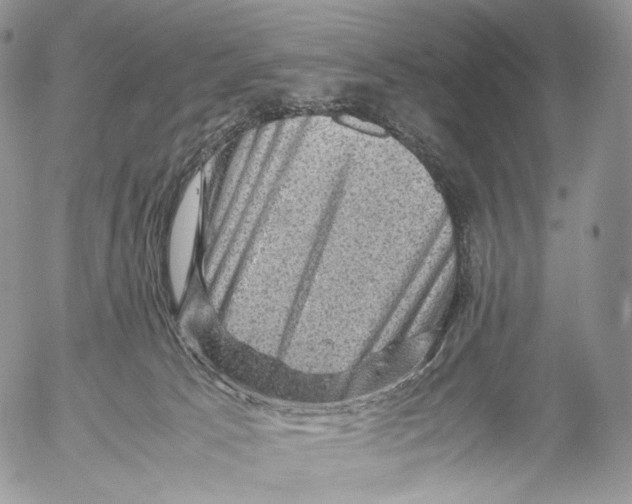 X0000053050033200508081140