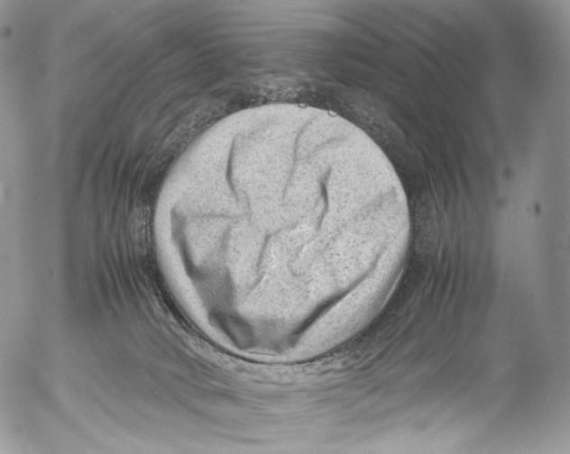 X0000053050034200508081140