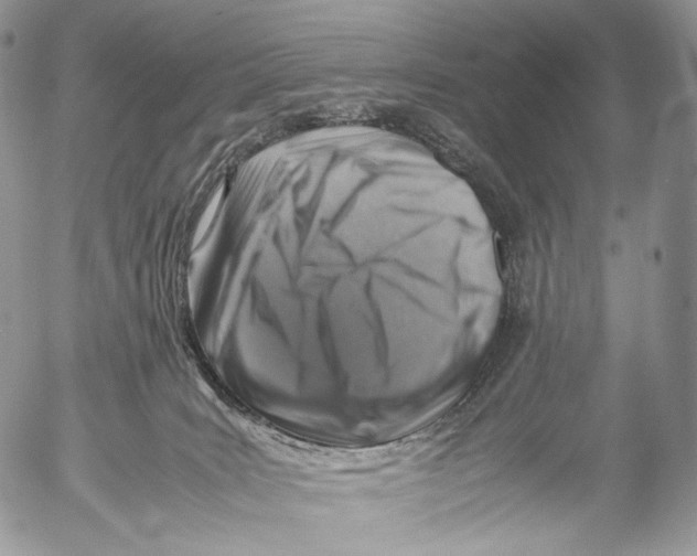 X0000053050035200508081140