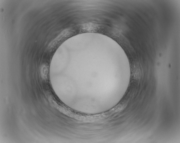 X0000053050036200508081140