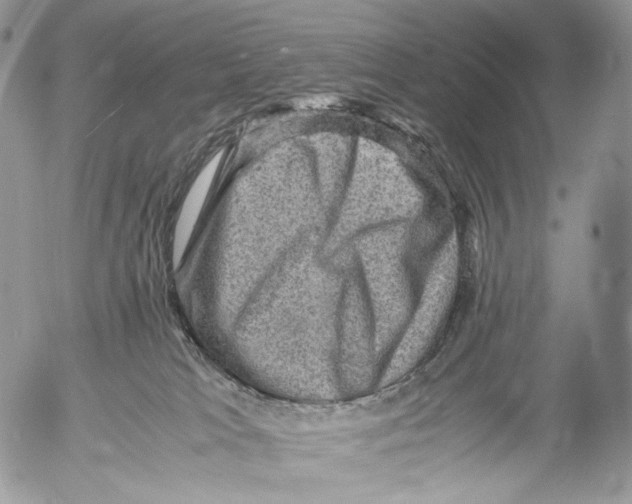 X0000053050037200508081140