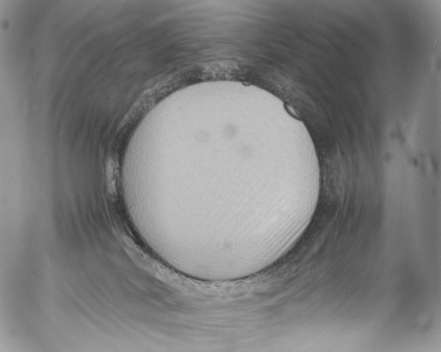 X0000053050038200508081140