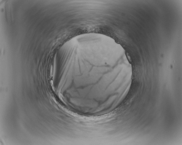 X0000053050039200508081140