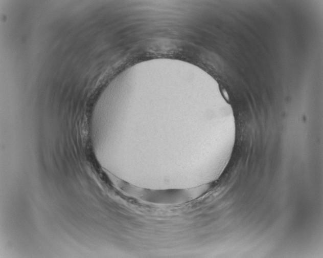 X0000053050040200508081140