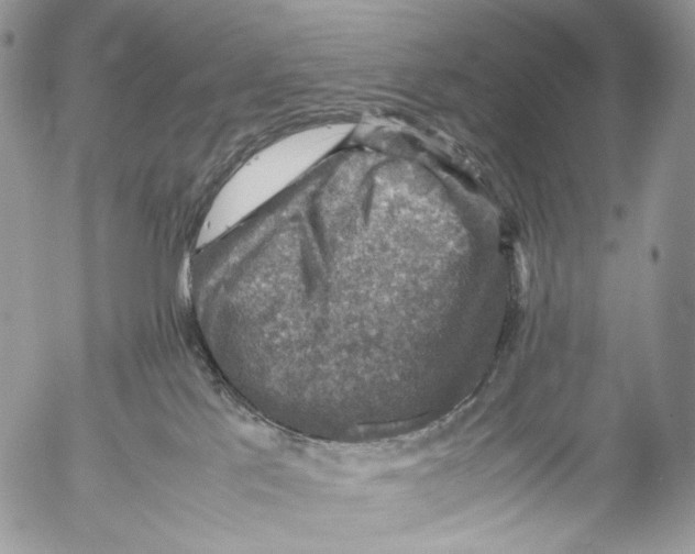 X0000053050041200508081140