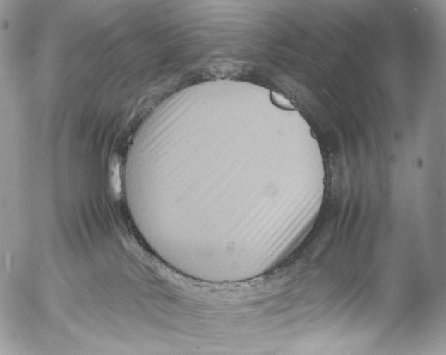 X0000053050042200508081140