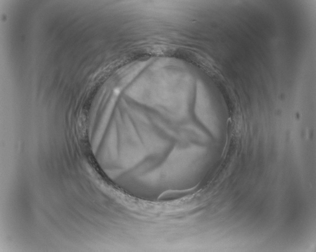 X0000053050043200508081140