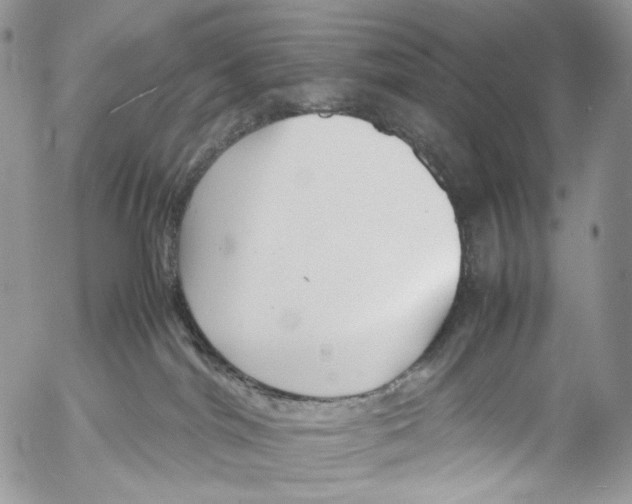 X0000053050044200508081140