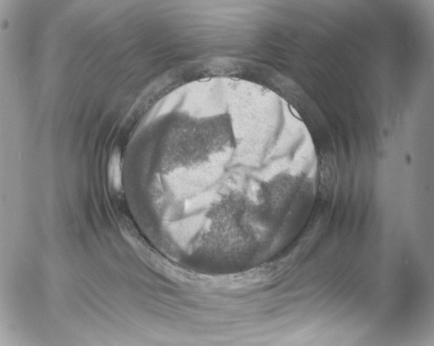 X0000053050046200508081139