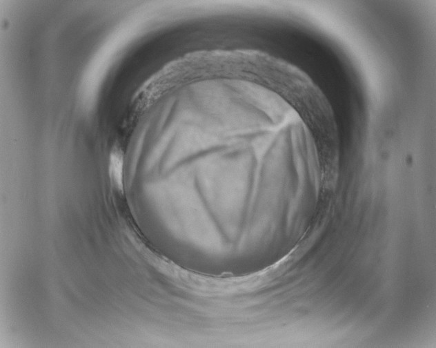 X0000053050047200508081139