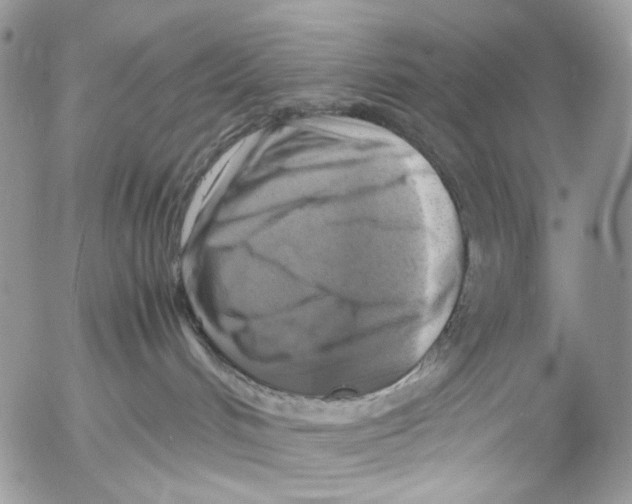 X0000053050048200508081139