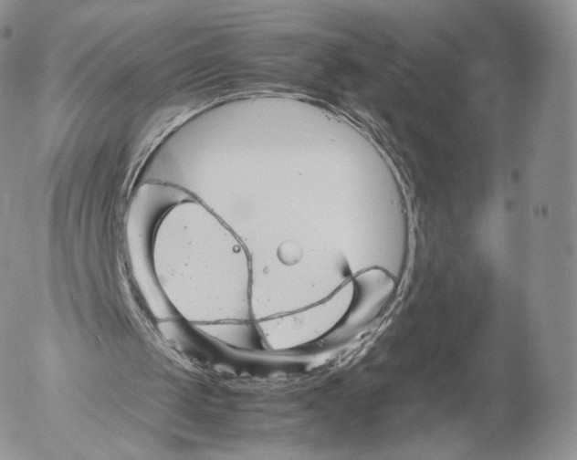 X0000053050049200508081139