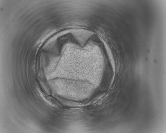 X0000053050050200508081139