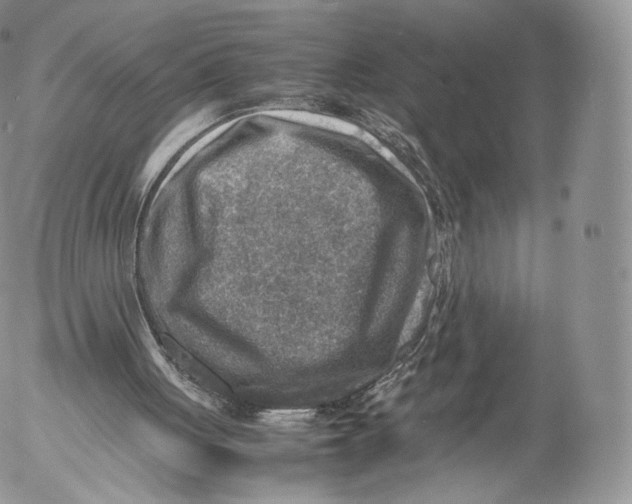 X0000053050051200508081139