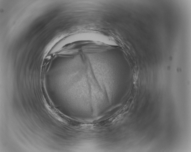 X0000053050052200508081139