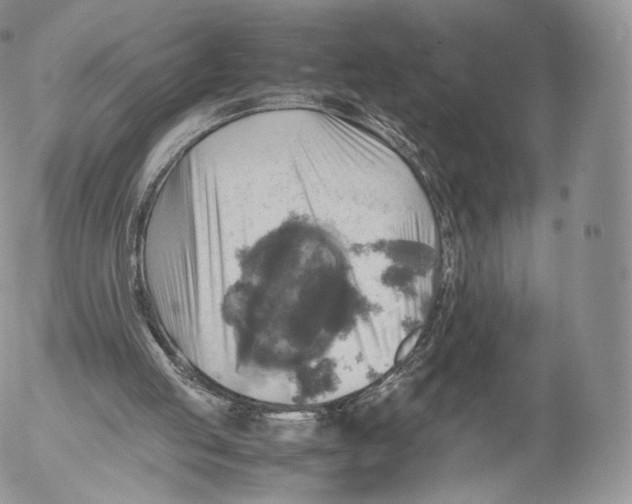 X0000053050053200508081139