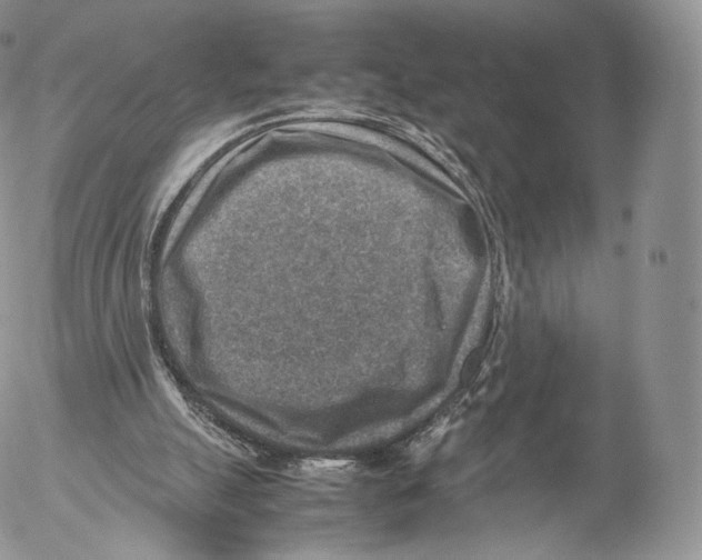 X0000053050055200508081139