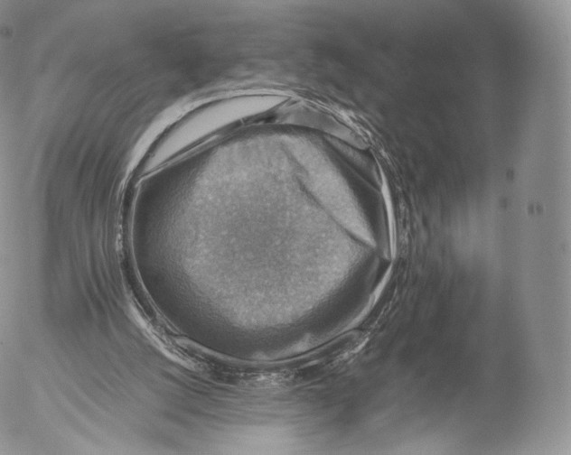 X0000053050056200508081139