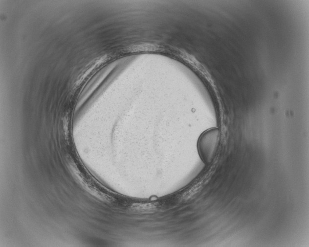 X0000053050057200508081139