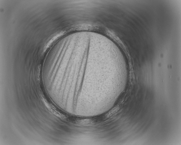 X0000053050058200508081139