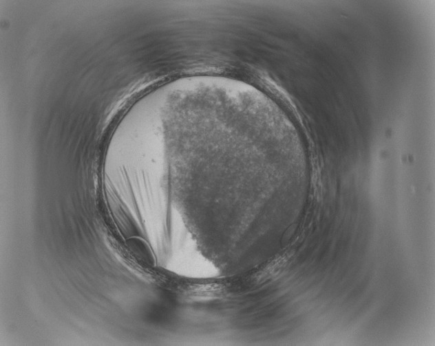 X0000053050059200508081139