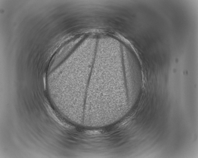 X0000053050061200508081139