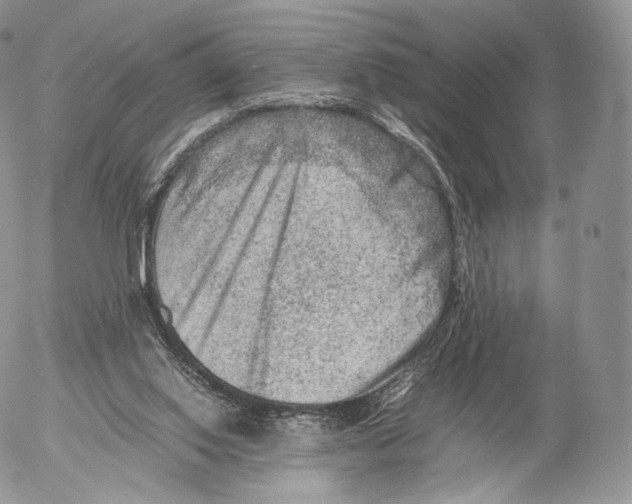 X0000053050062200508081139