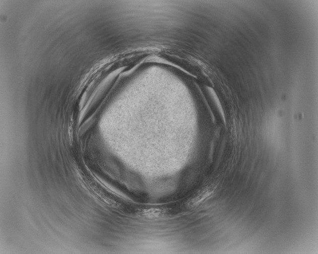 X0000053050064200508081139